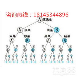 【哈爾濱直銷(xiāo)軟件三軌制設(shè)計(jì)開(kāi)發(fā),多用戶(hù)商城結(jié)算系統(tǒng)】-